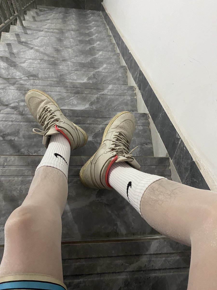 Latex者者 tweet media