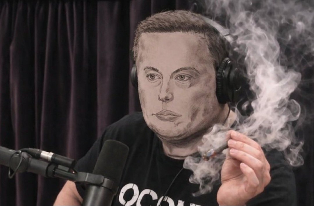 john daly tweet media