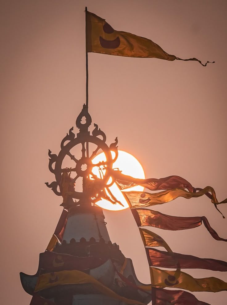 वसंती नवरात्र एवं नव वर्ष की शुभकामनाएं🌺🌻