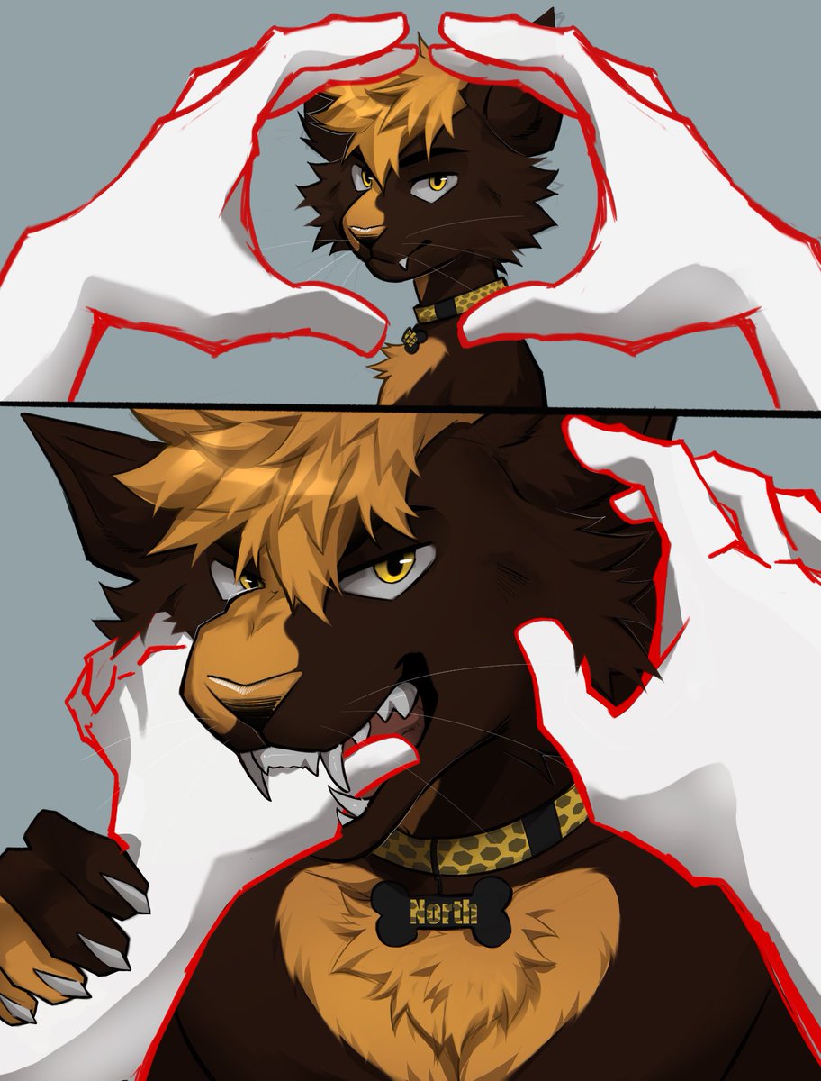 ɴᴏʀᴛʜ. 🔜 TFF tweet media