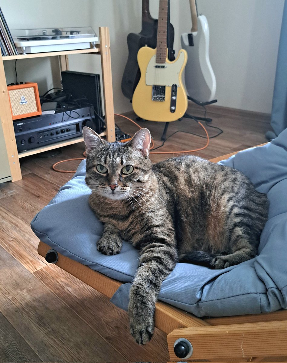 Ноунейм из паблика tweet media