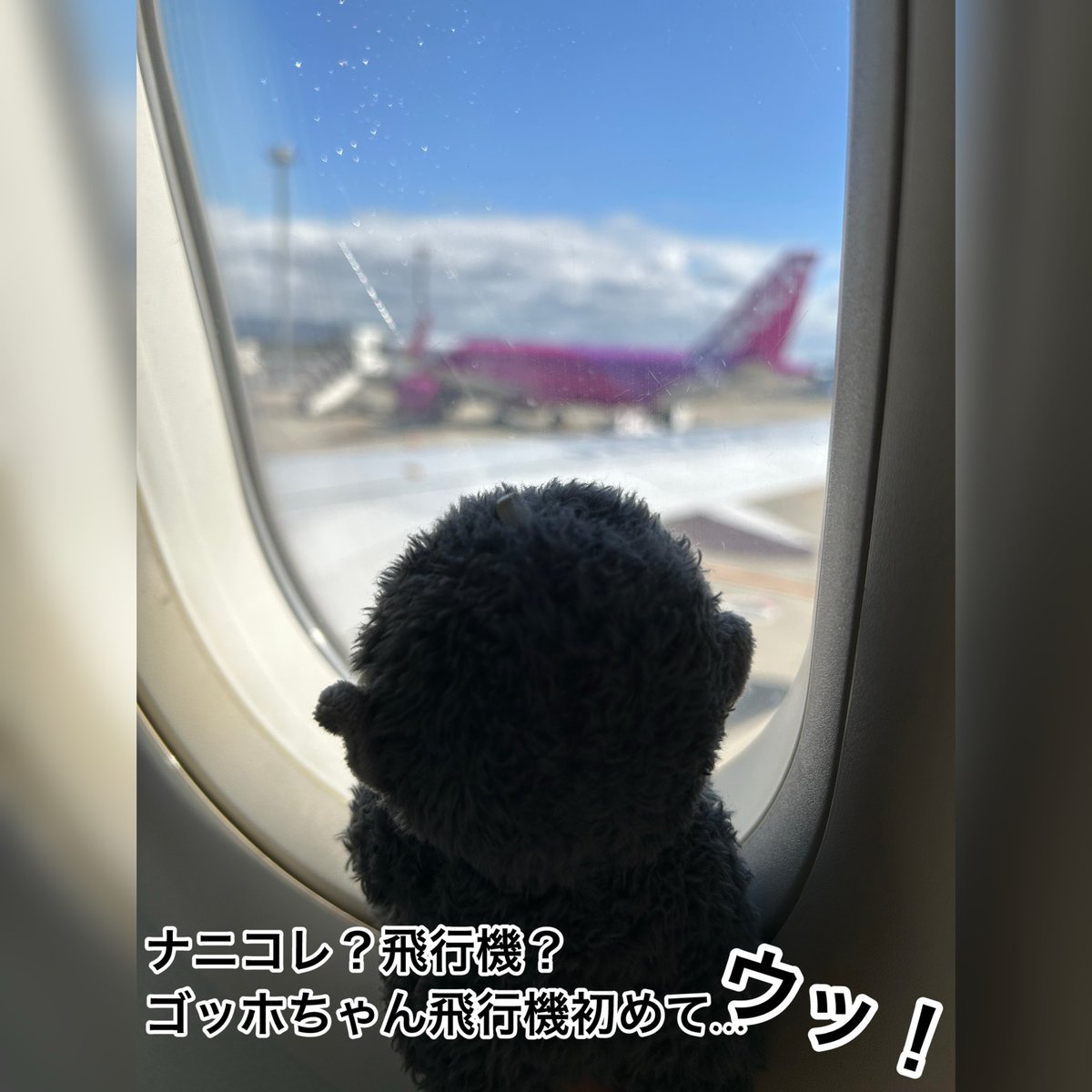 あしたのアチョー tweet media