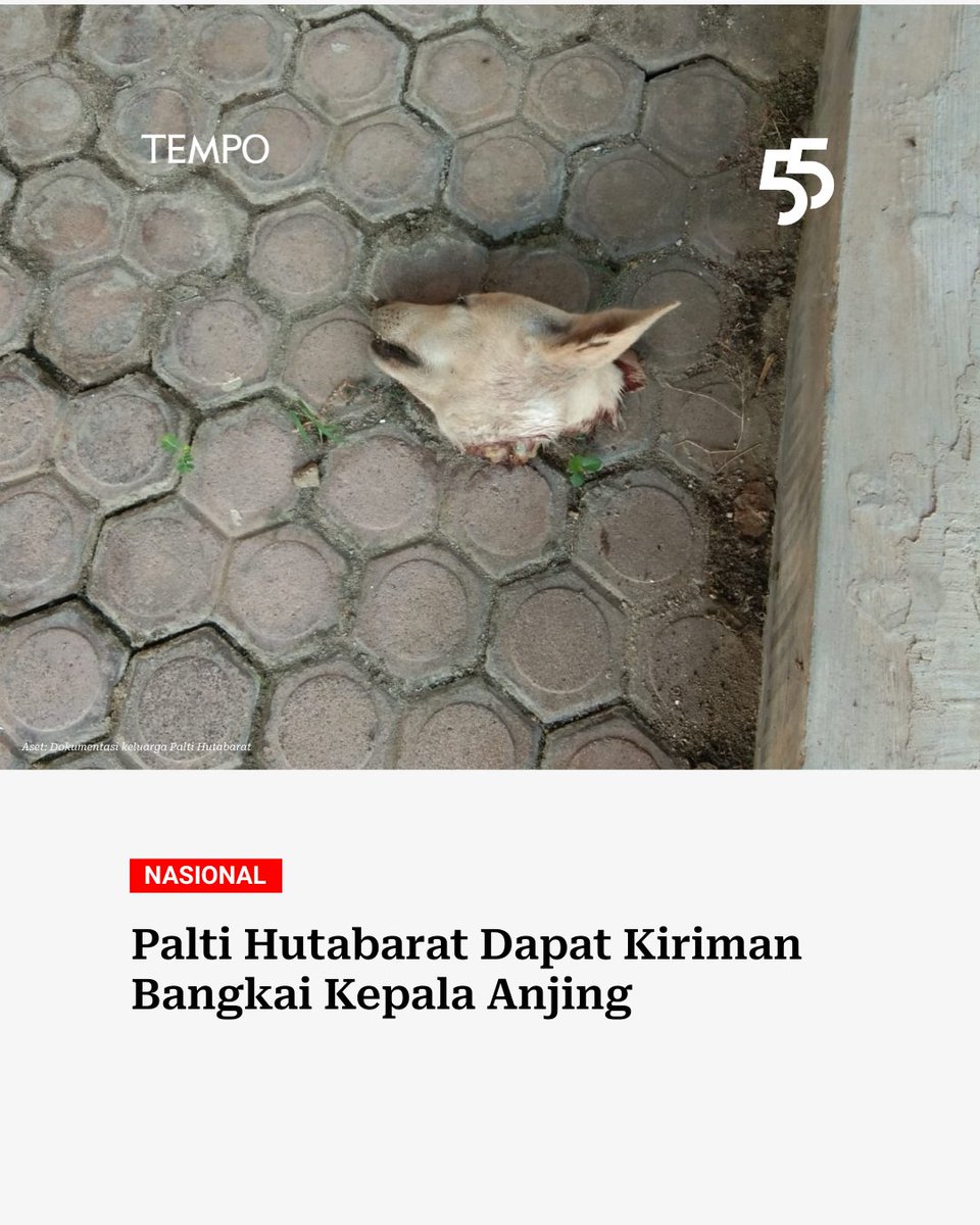 tempo.co tweet media