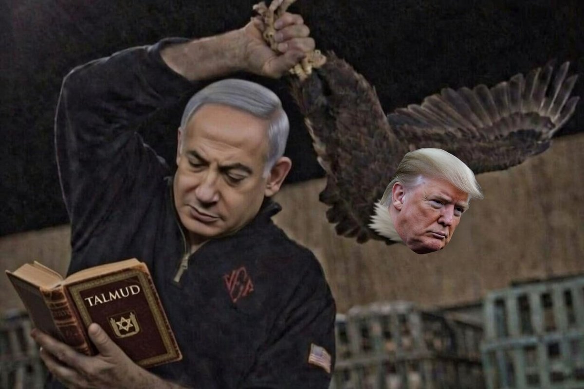 commiesdontsurf tweet media