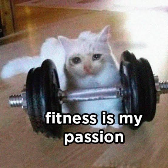 ⚛️Particle man⚛️ tweet media