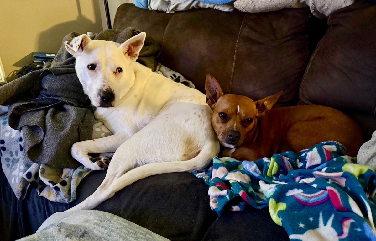 Cristina Eldridge tweet media