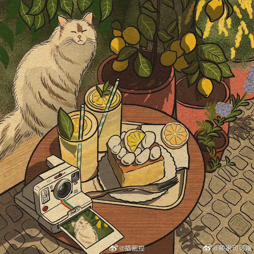 Samantha Jolley tweet media