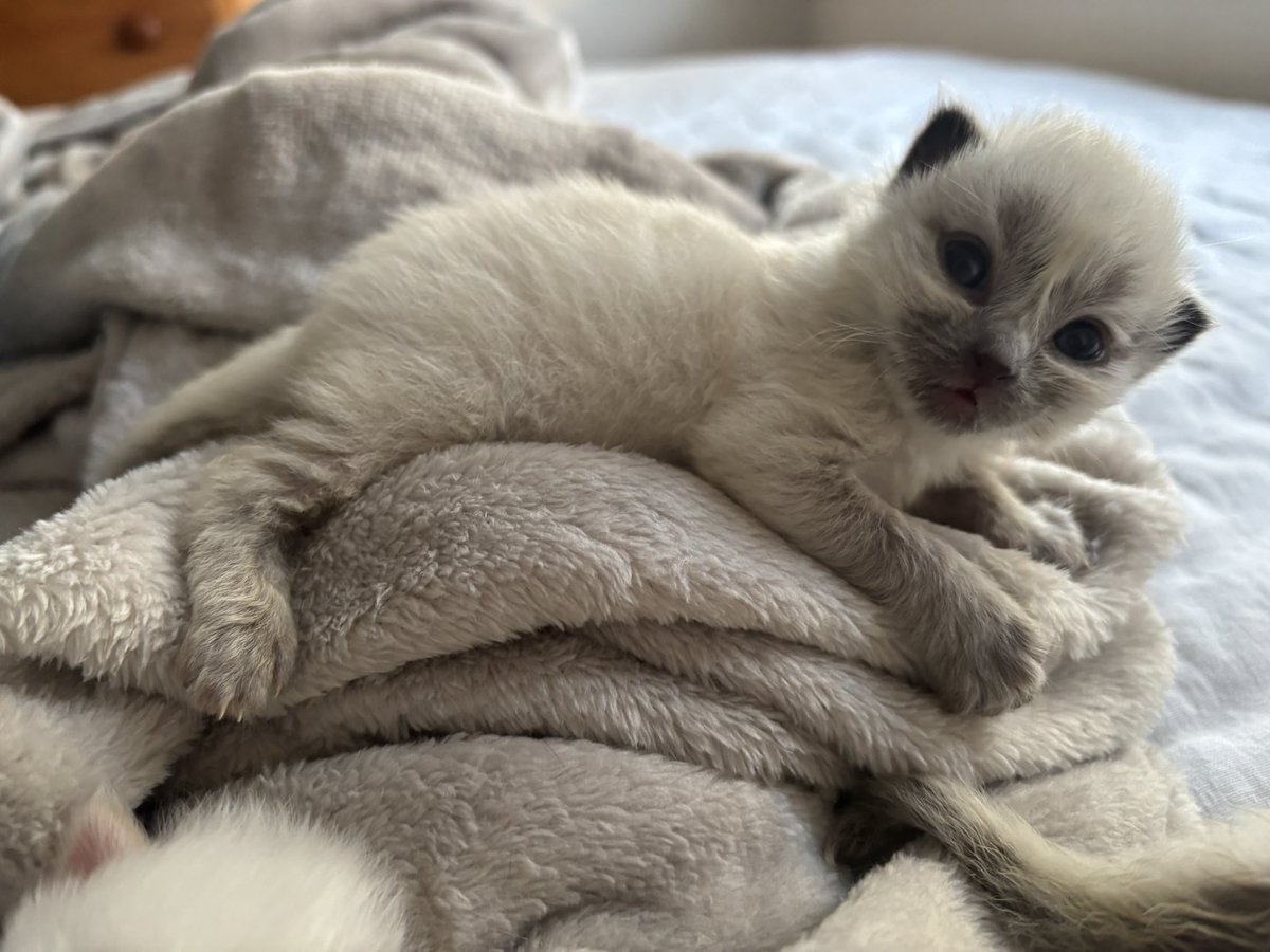 Walter Kirn tweet media