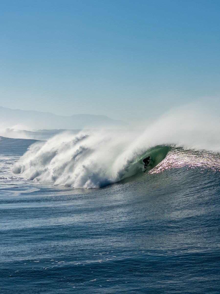 Delight Moments tweet media