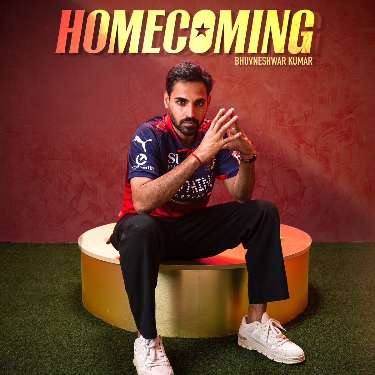 cricket fan tweet media