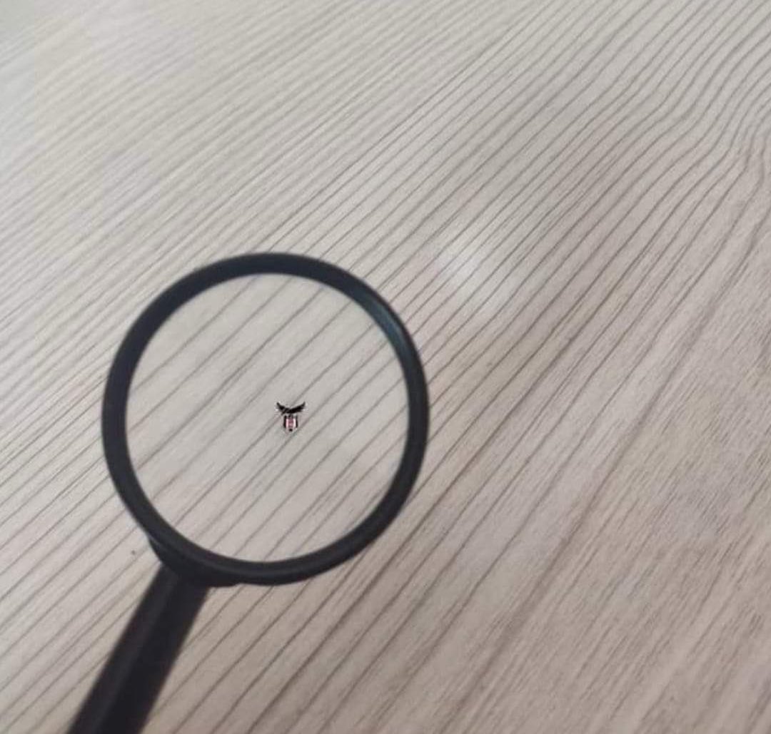 elnurturkoglu tweet media