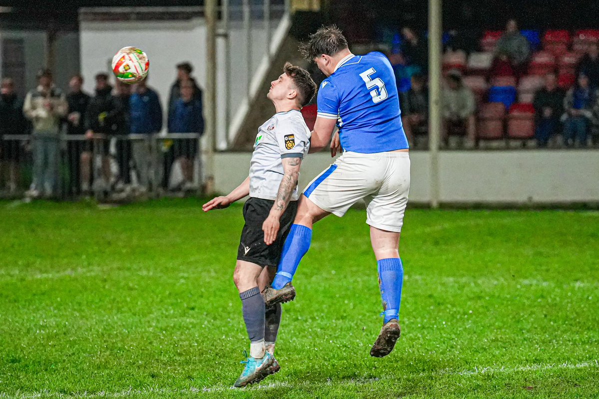 dylanevans.photos tweet media