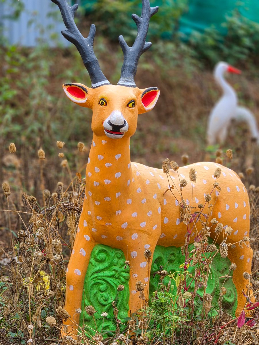 Sharon Bava tweet media