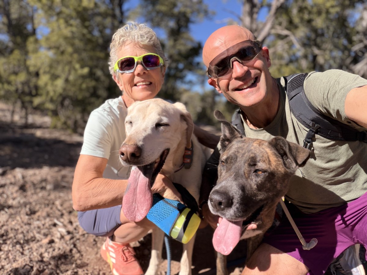 Catherine tweet media