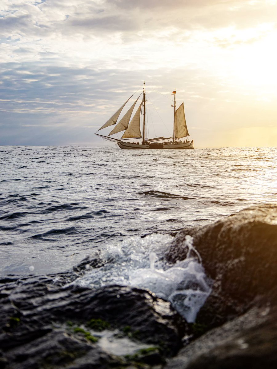 Delight Moments tweet media