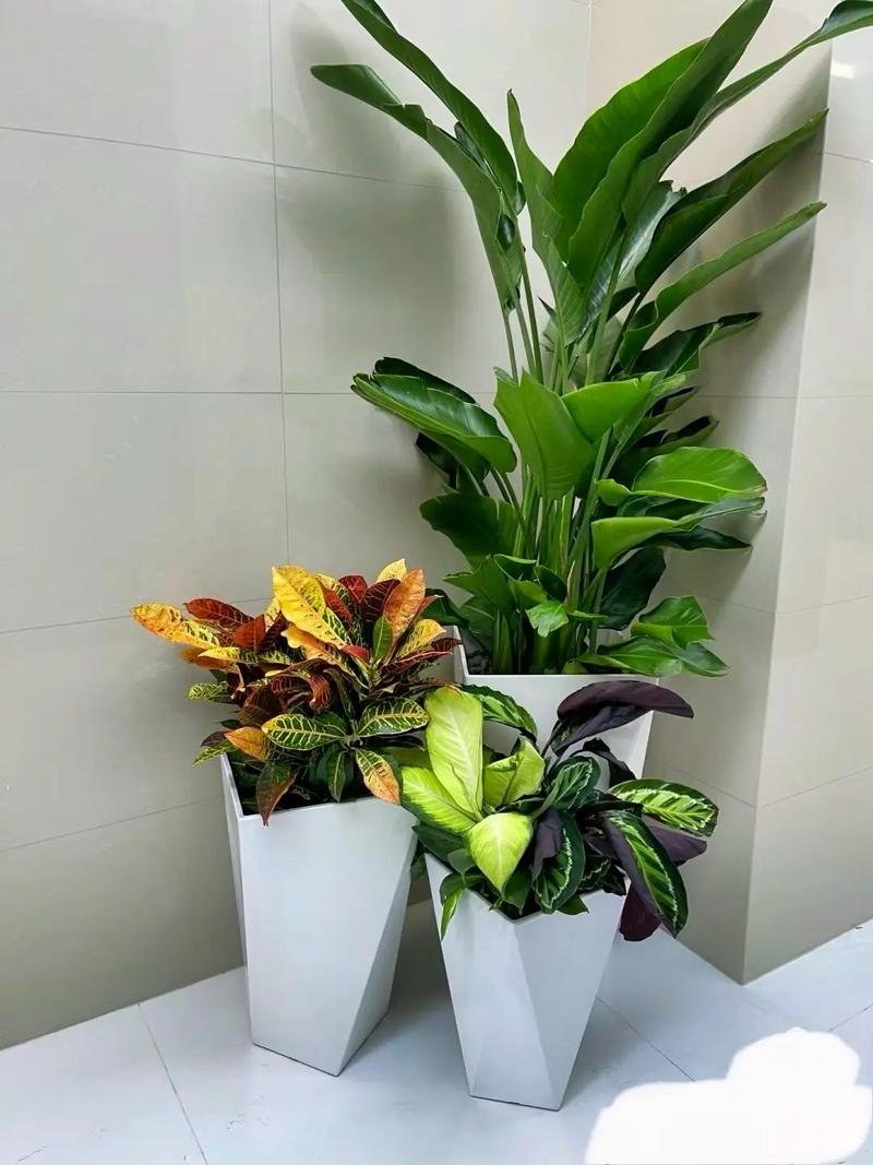 talal a rizq tweet media