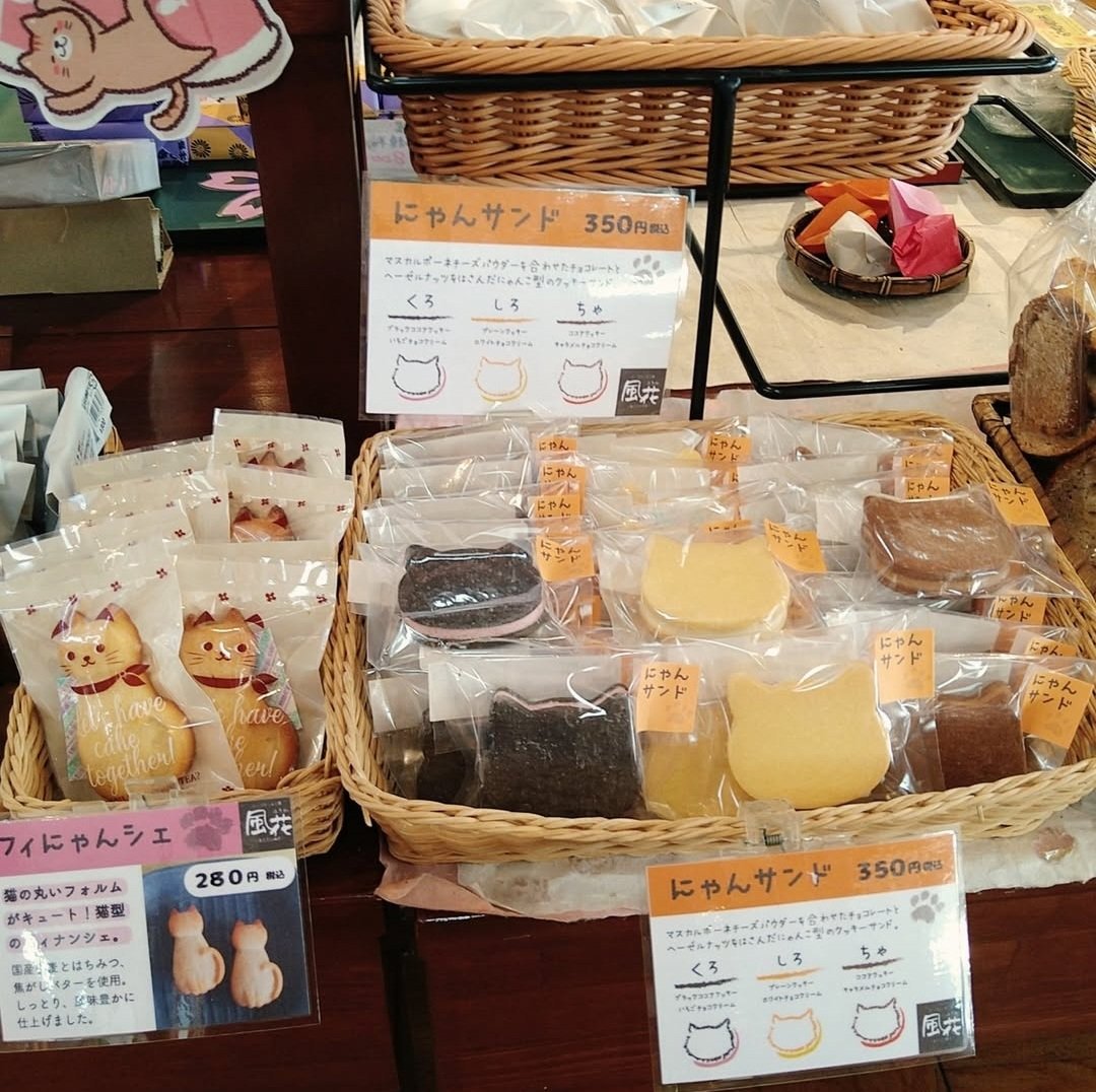 bappy0288's tweet photo. 【新商品のお知らせ】

チーズケーキ工房風花さんの
　　　『ほんとうの空サイダー』が
　　　　　　　　　　発売されました

キレイな空色（クリアブルー）をしたりんご味のやさしいサイダーです🍎🌈
これからの季節にピッタリ✨

他に風花さんの人気商品も販売しています

ぜひお越しください☺ https://t.co/twlatbJjCd