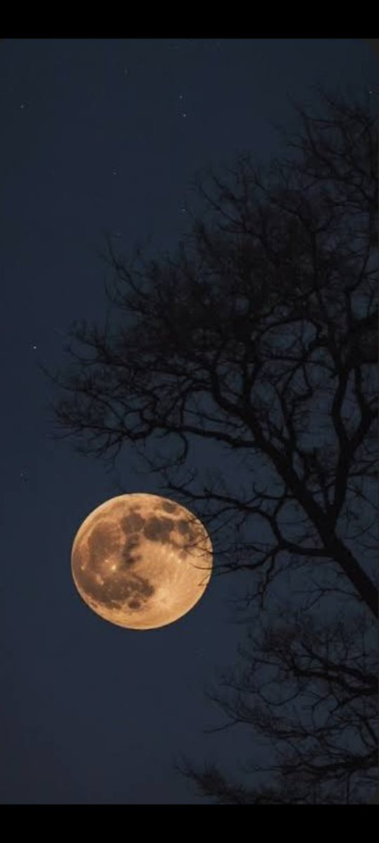 RomeroInchausti's tweet photo. Para llegar al conocimiento de la verdad hay muchos caminos: el primero es la humildad, el segundo es la humildad y el tercero es la humildad" San Agustin
Feliz Noche De Un Cuento Mágico https://t.co/o57CY5DBQ0