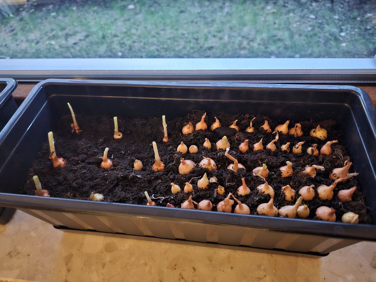 Oleksandr 🦉(❖,❖) tweet media