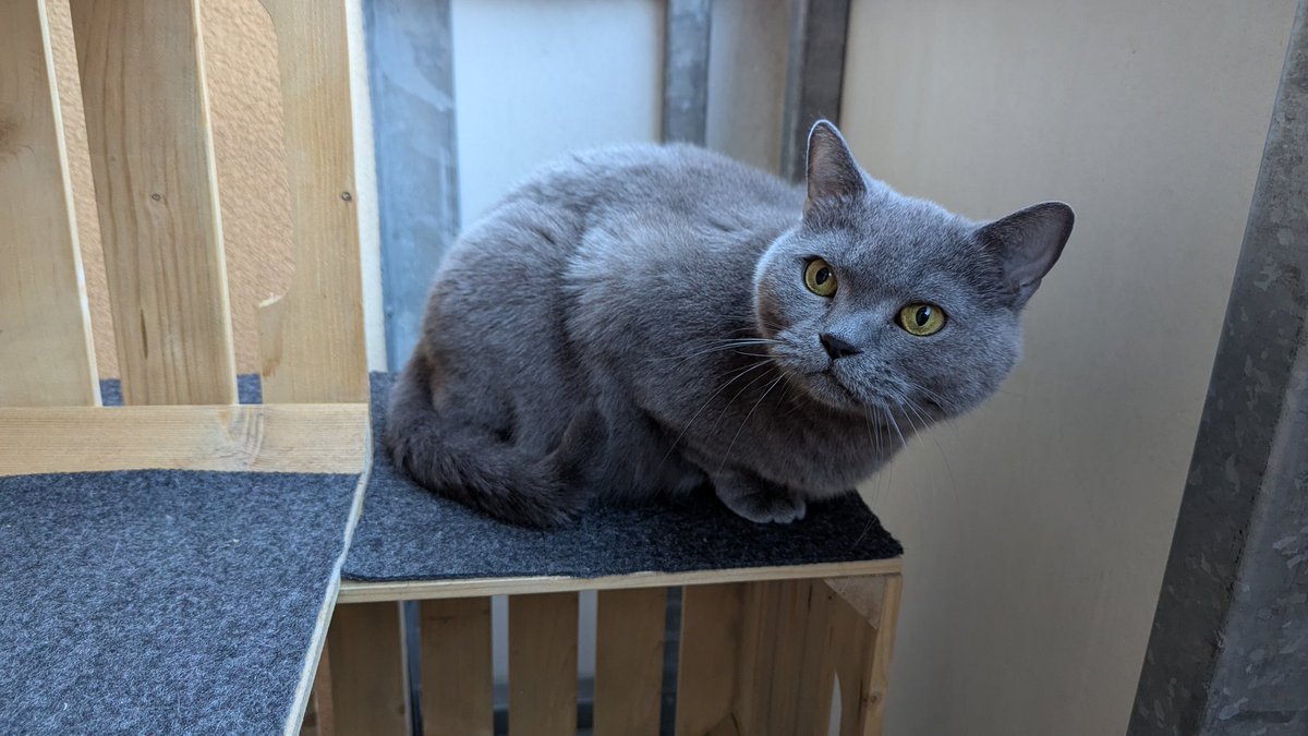 Chris Heilinger tweet media