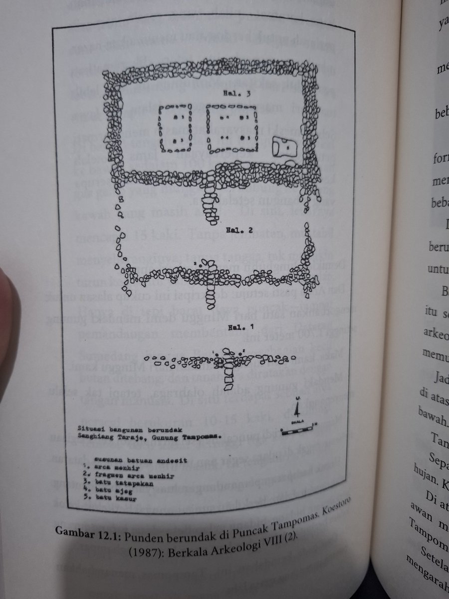 Chasing Peatland 🇵🇸 tweet media