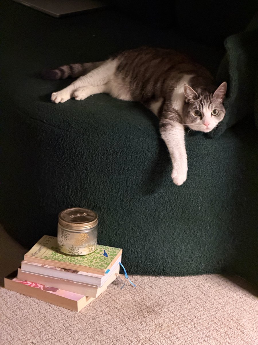 Ying | 莺 🍉 tweet media