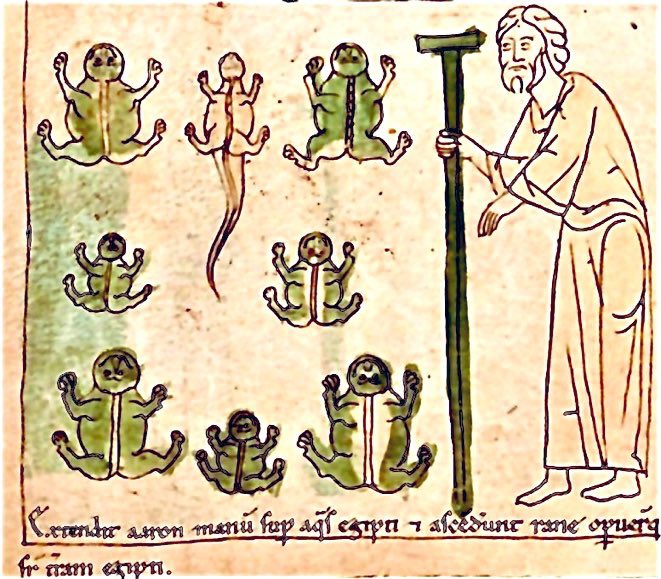 Medieval Military Medicine tweet media