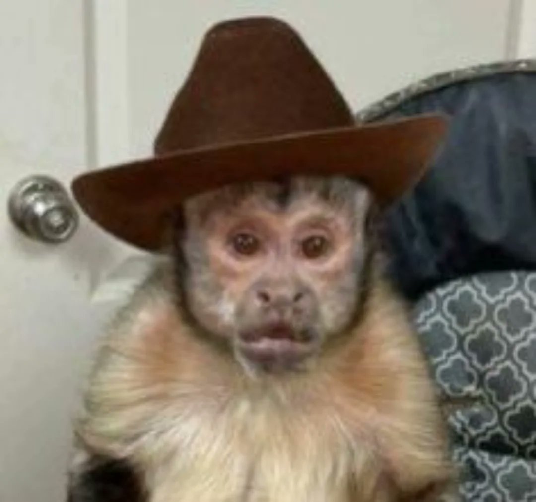 Ink Blot tweet media