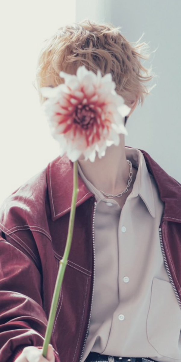 ここわん tweet media