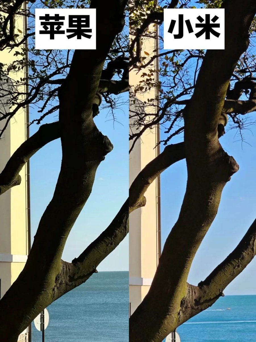 Delicia Baloi tweet media