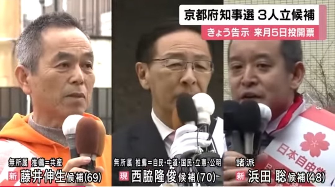 週刊イカちゃんᔦꙬᔨ tweet media