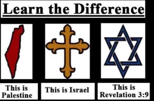 CryptoMonkeyz 🐒🦕💀✝️ tweet media