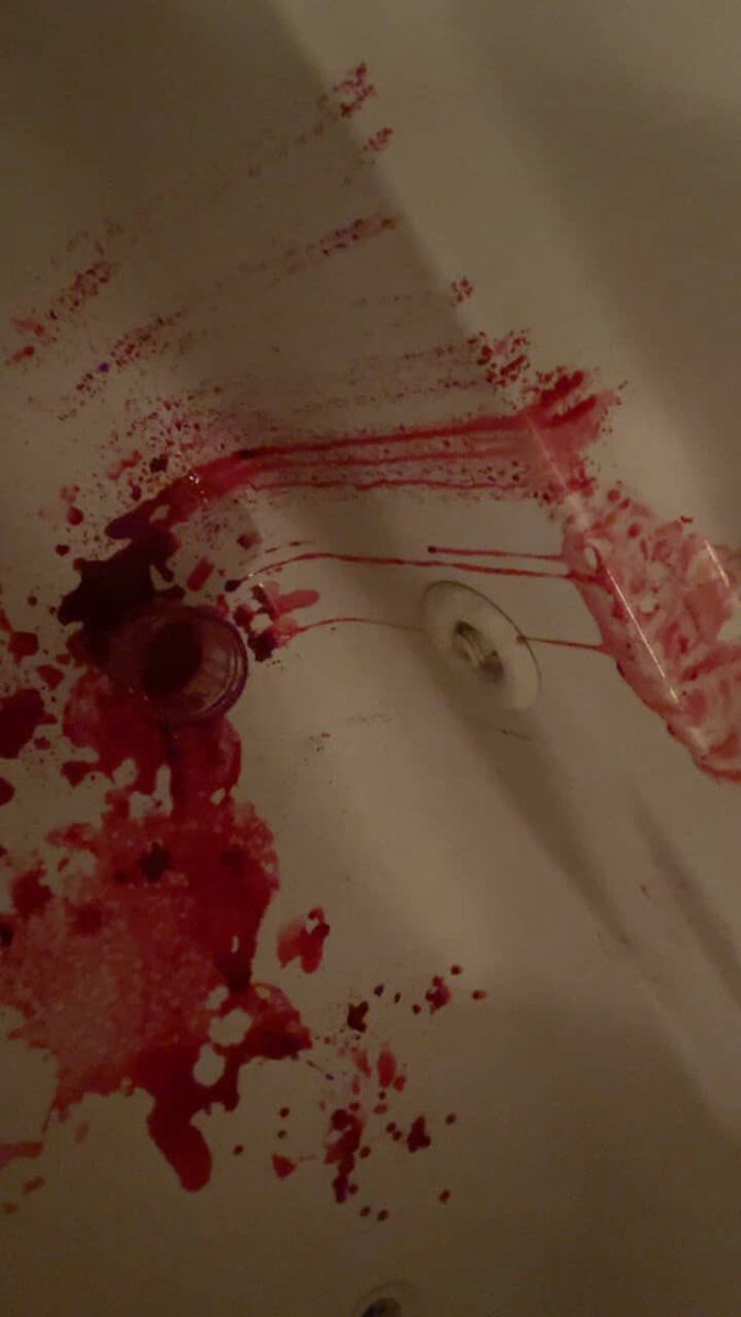 edwin of shtwt tweet media