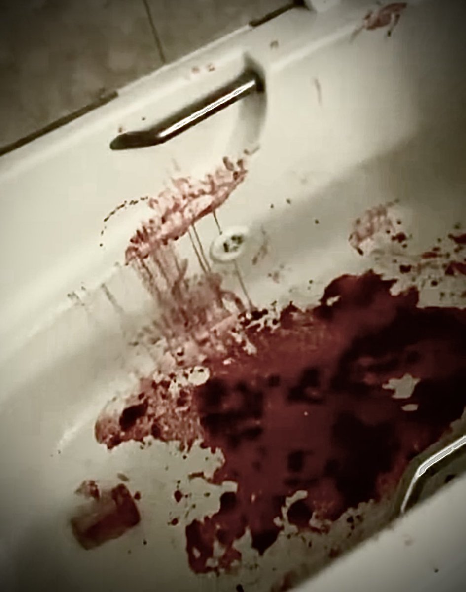 edwin of shtwt tweet media