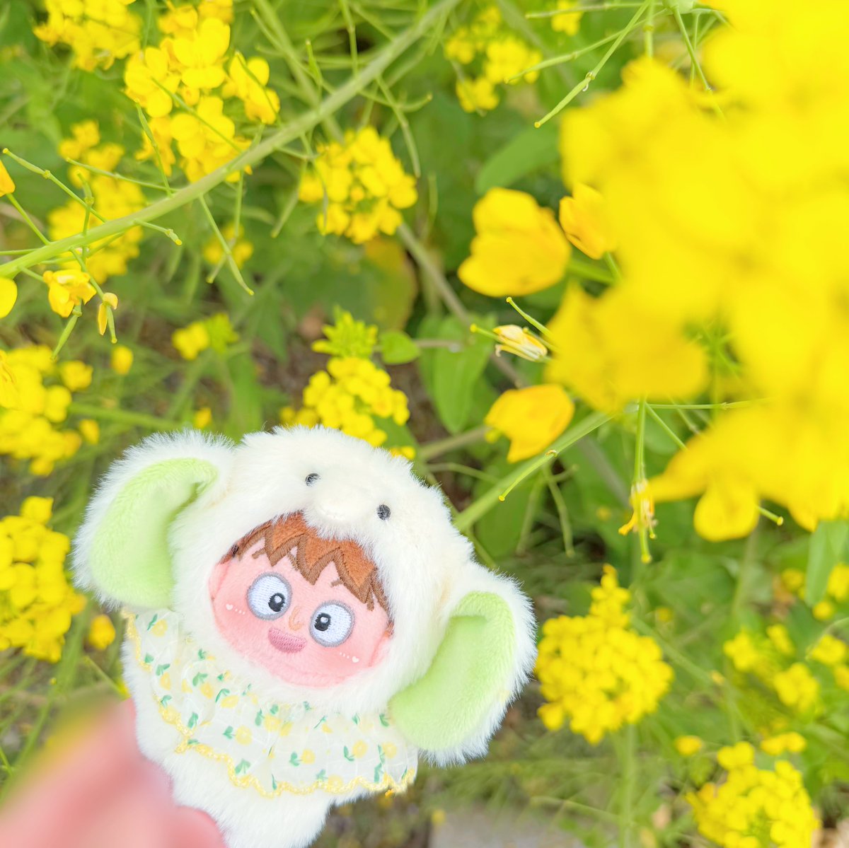 春色ぞうさん〜🐘🌼
桜はまたこんど