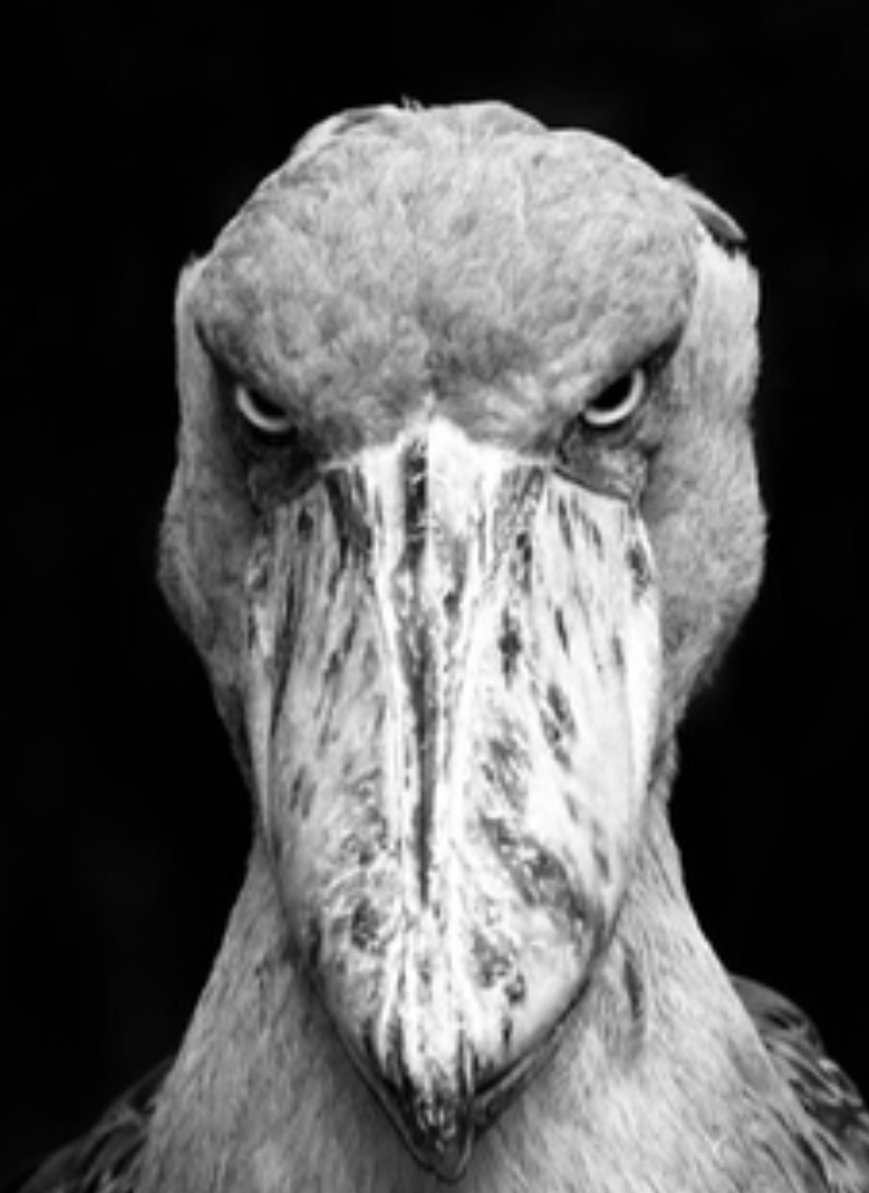 ❥Rory❥ tweet media