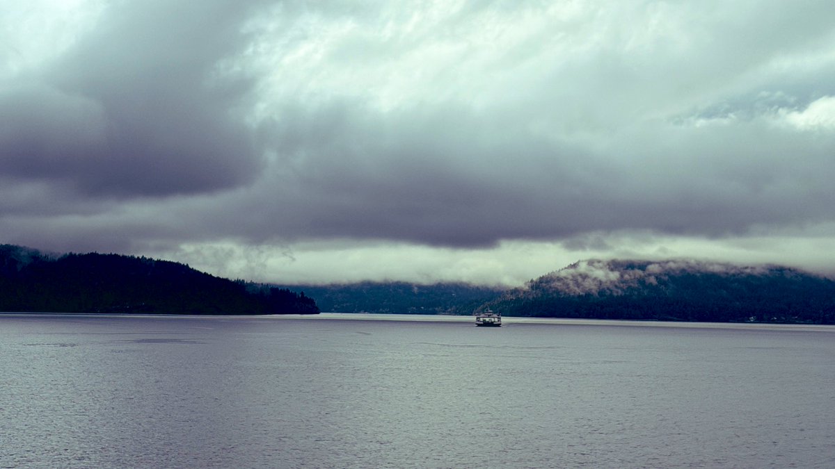 私厨奶爸 tweet media