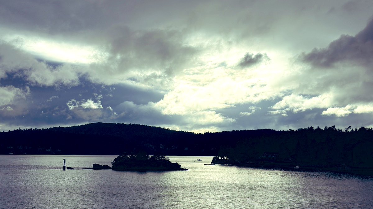 私厨奶爸 tweet media