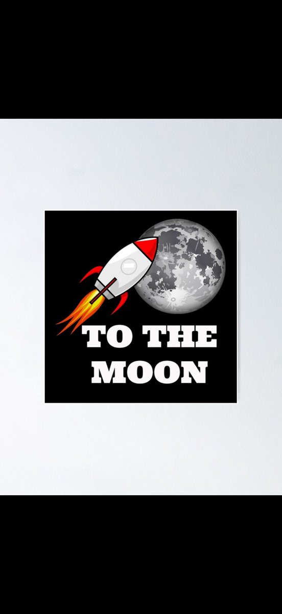 Moon Hamster tweet media