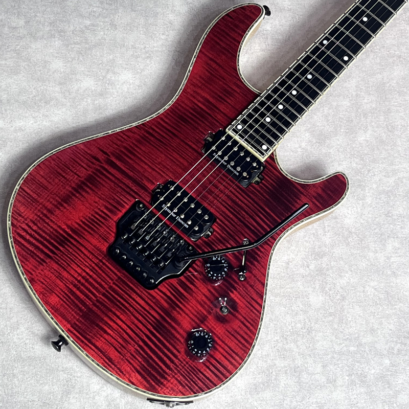 ポーランド発人気ハイエンドメーカーMEYONES入荷🔥 MEYONES Regius Pro