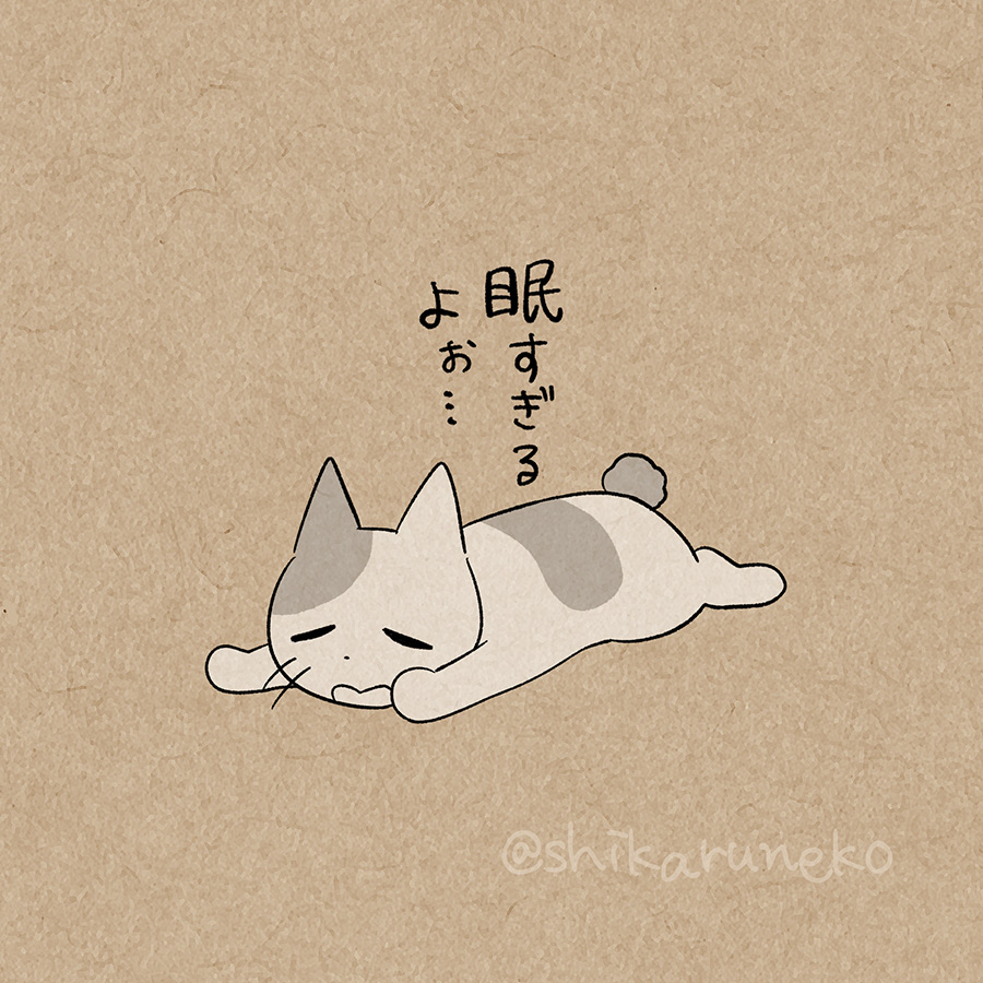 しかるねこ tweet media