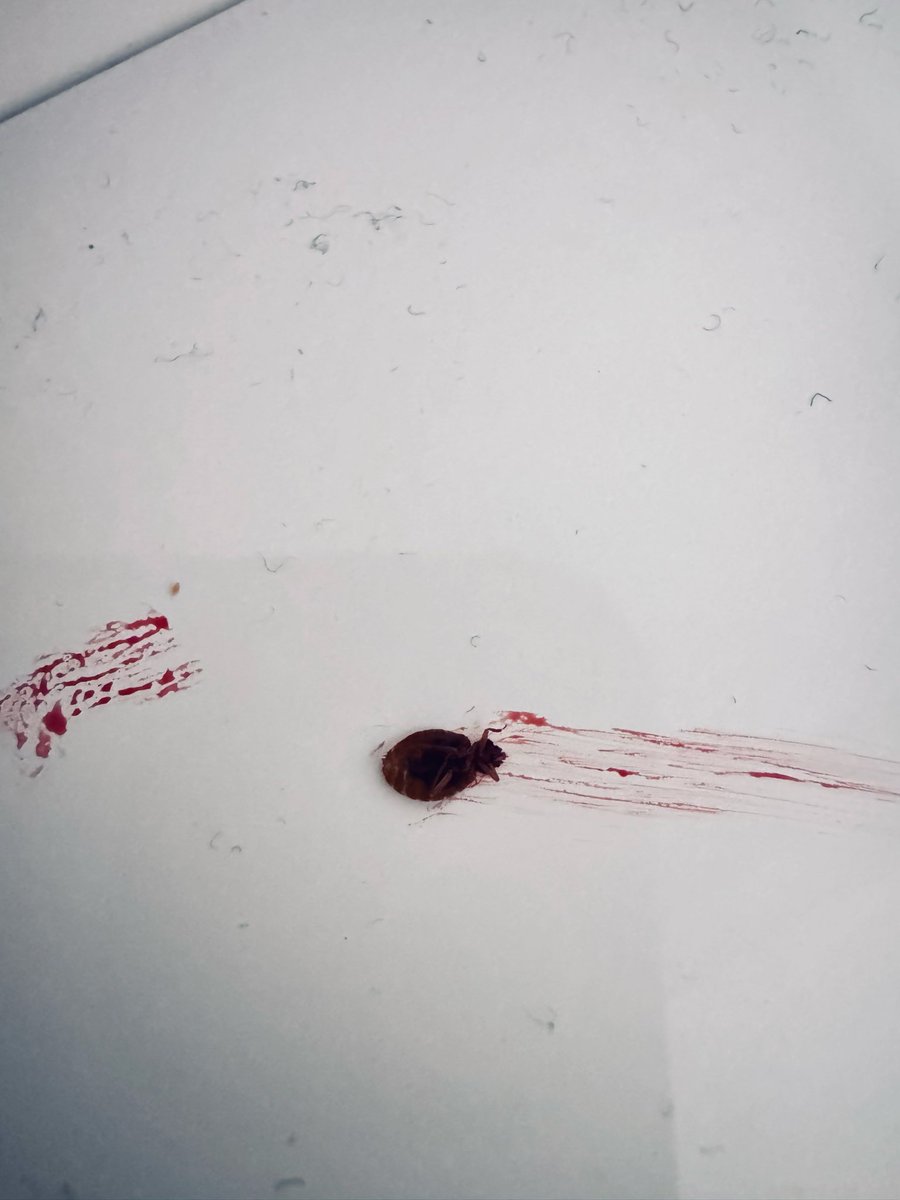 Muhammed Ashad Zalal tweet media