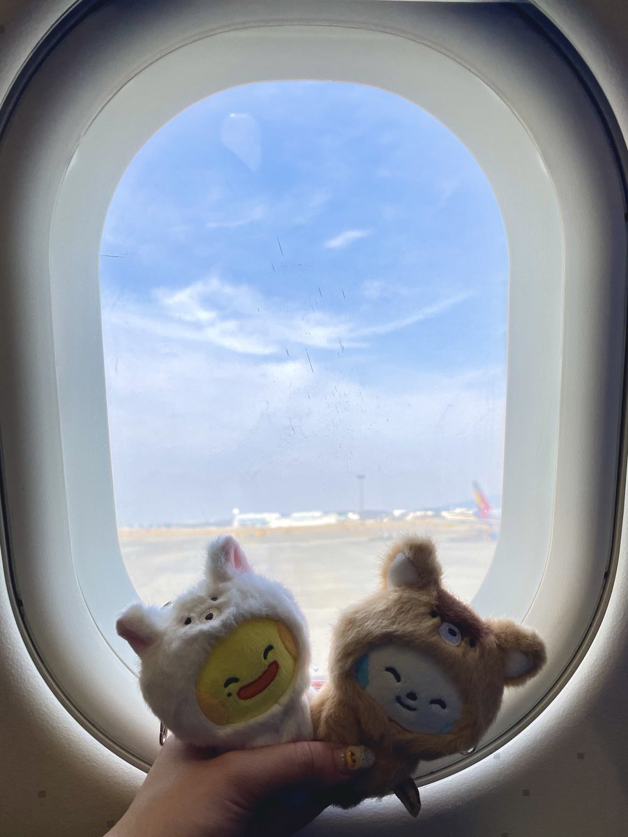 ㅁㅏㄴㅏ🧸 tweet media