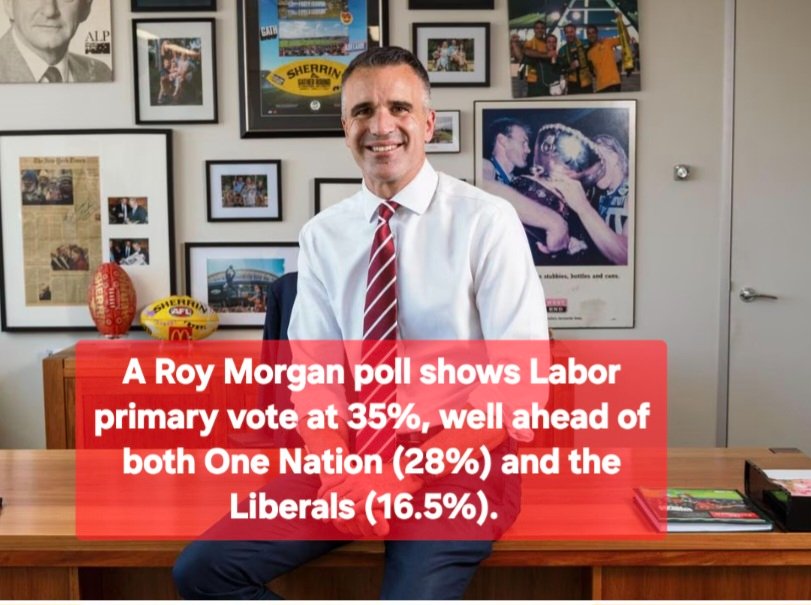 Descendant of The White Australia Policy. tweet media