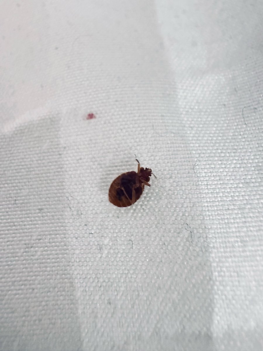 Muhammed Ashad Zalal tweet media