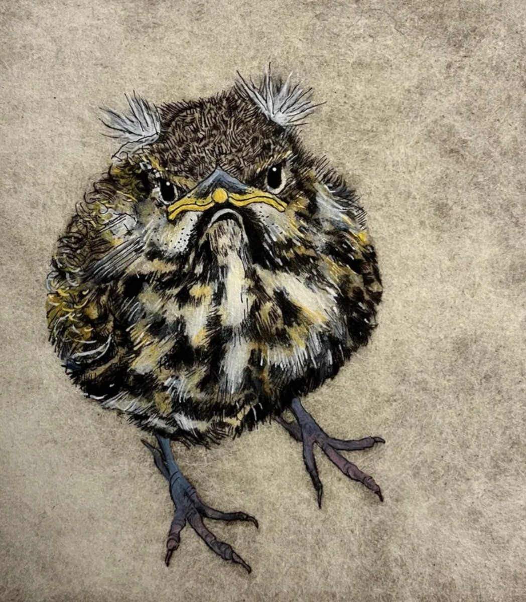 #WOMENSART tweet media