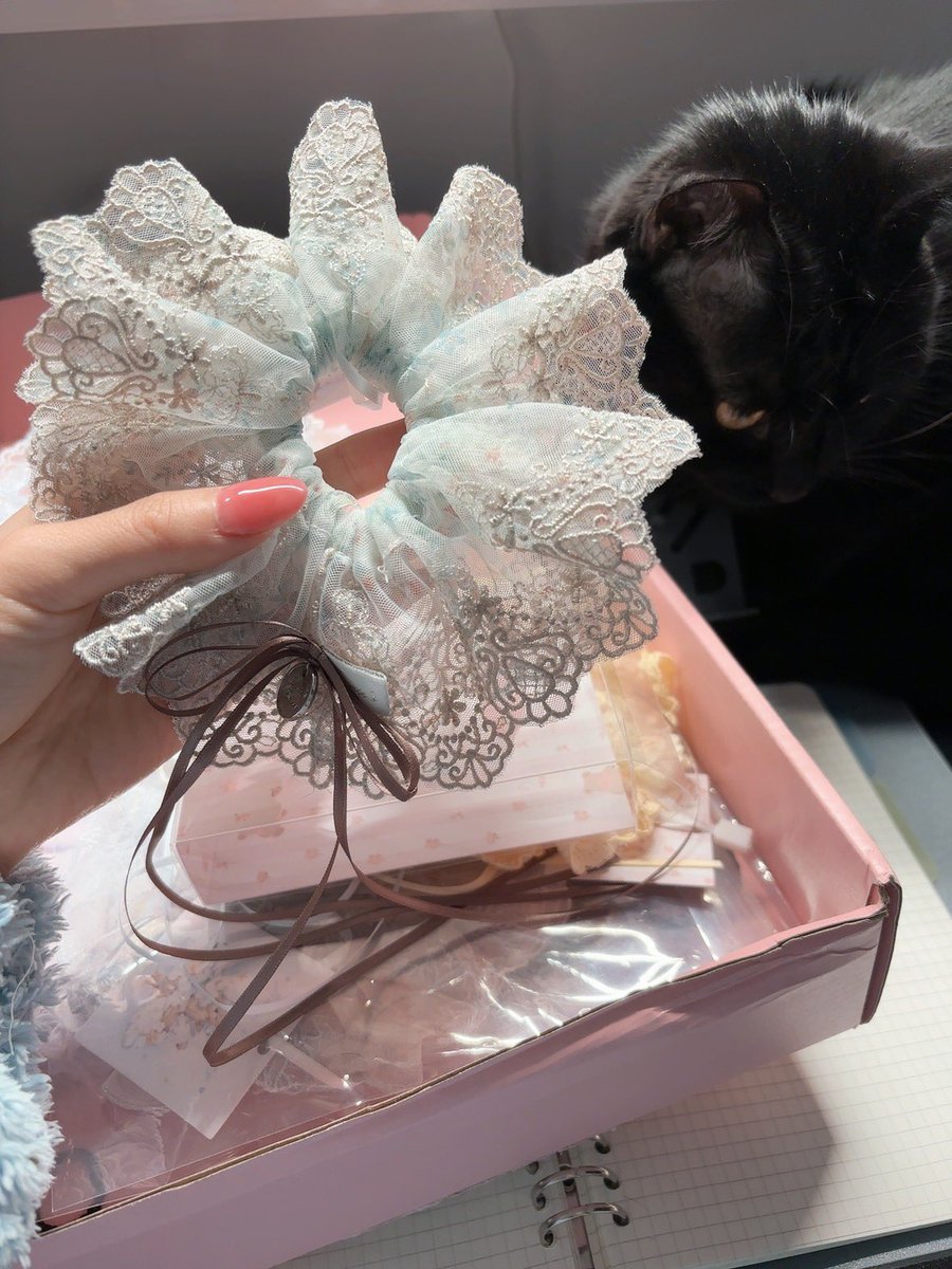 ccccccccc. tweet media