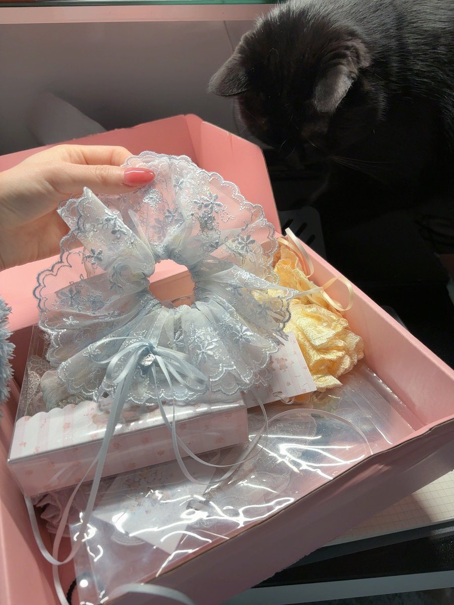 ccccccccc. tweet media