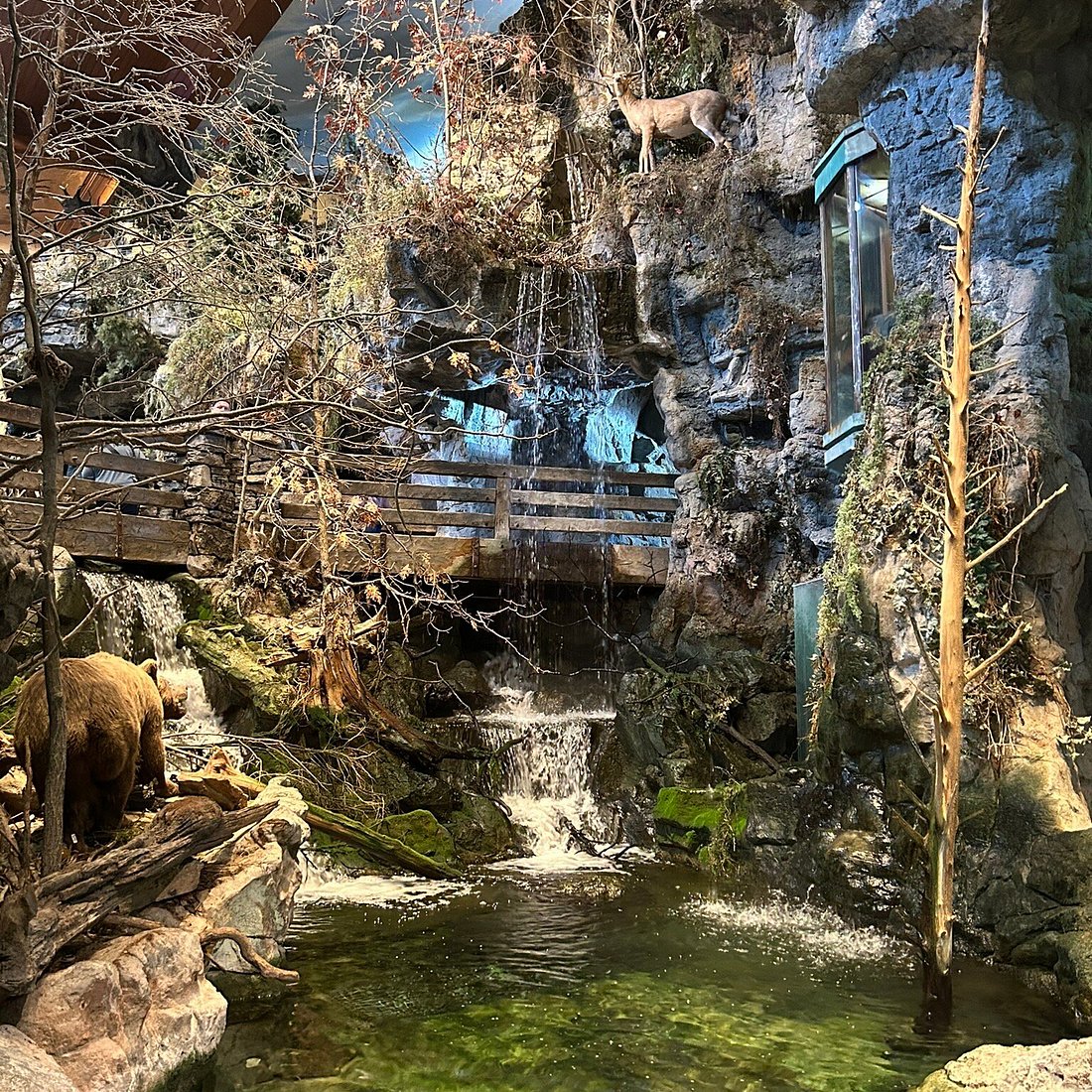 Hannah Ward 👩🏻‍🏫 Mom (x3) | Learning Designer tweet media