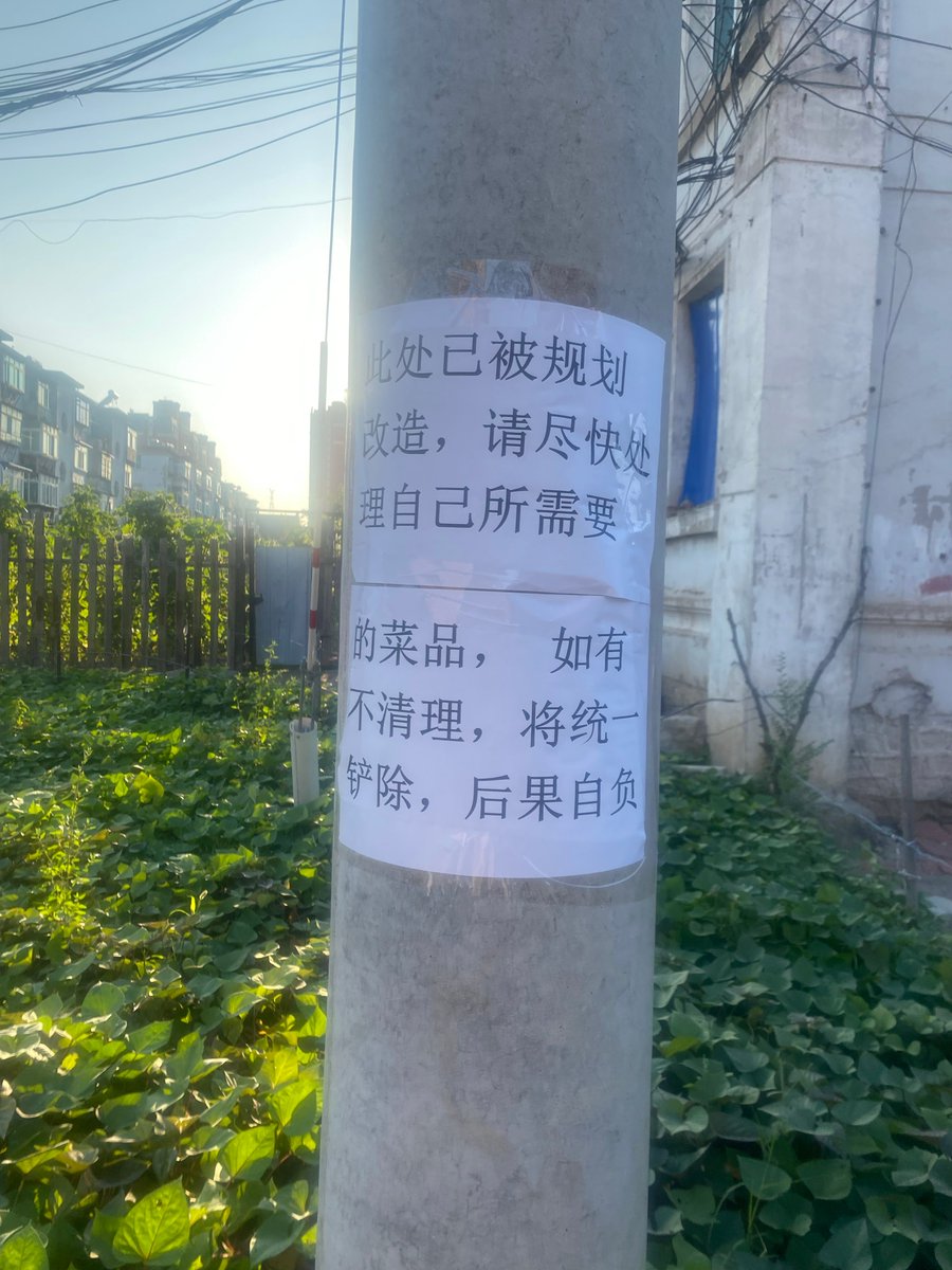 Карелина Евгения tweet media